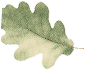 лист