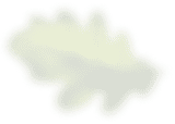лист