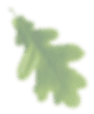 лист