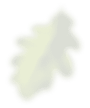 лист