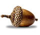 желудь